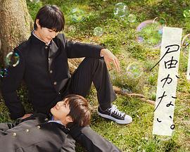 seo帽子买什么颜色